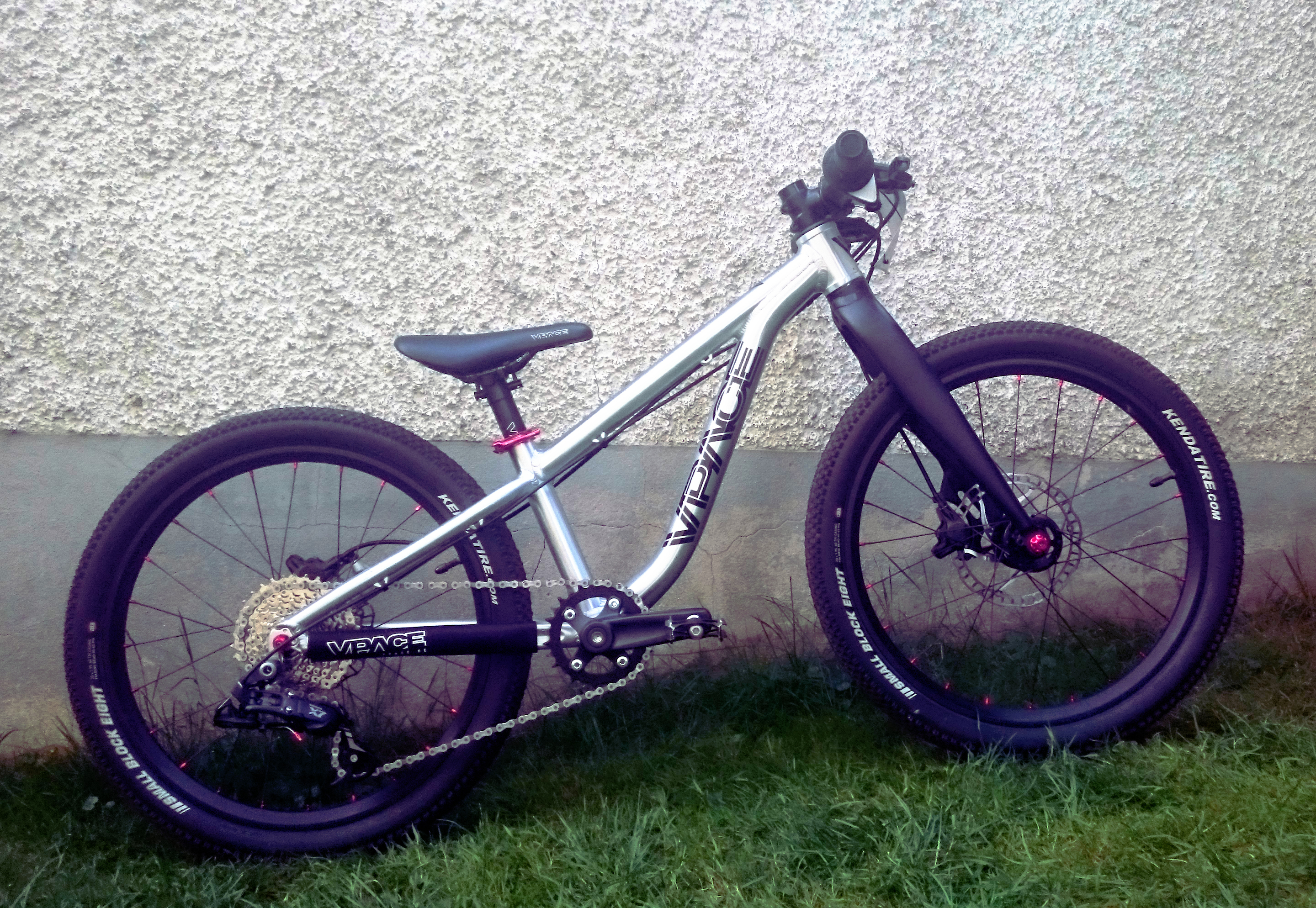VPACE MAX 20 leichtes 20 Zoll Kinder MTB