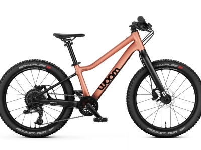 Canyon Exceed CF 24 Zoll Kinder Carbon MTB Hardtail Kinderfahrradfinder