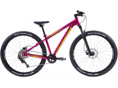 X-COADY 27.5 Race (bis 2022) - Eightshot