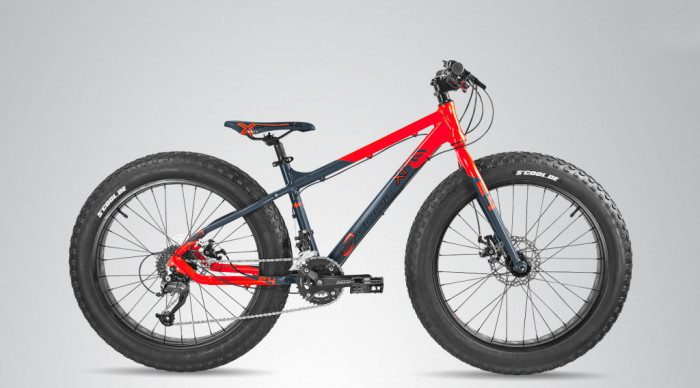 Scholl fat bike shop