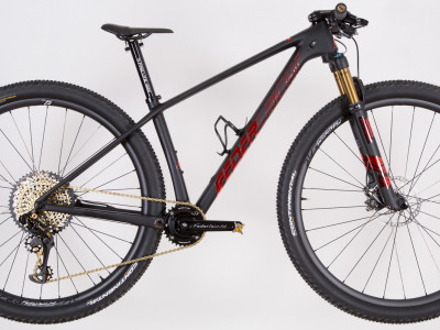 29er Carbon - Federleicht