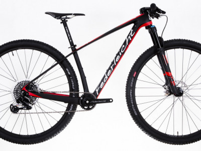 29er Carbon MTB - Federleicht