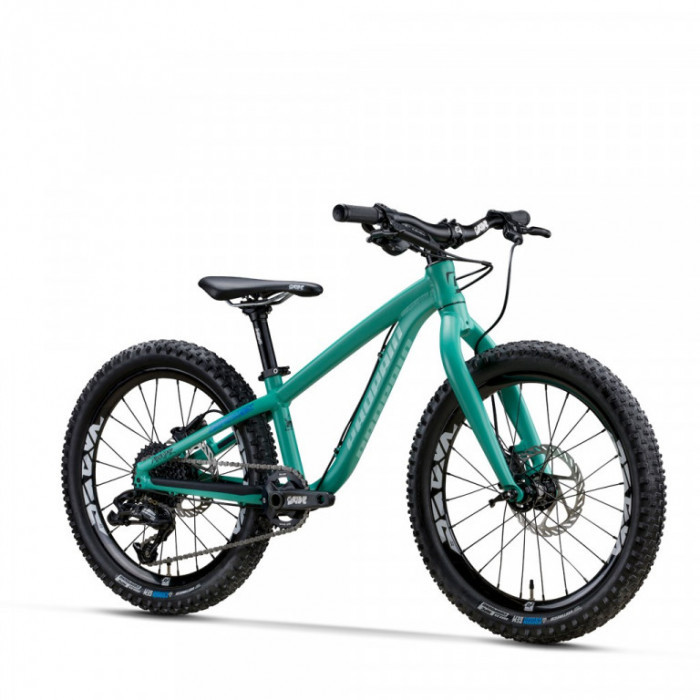 Propain Dreckspatz 20 Zoll KinderHardtailMTB