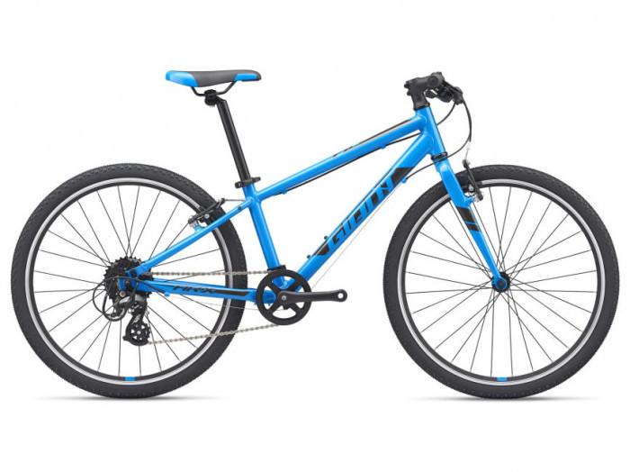 GIANT ARX 24 Leichtes, günstiges 24 Zoll Kinderfahrrad