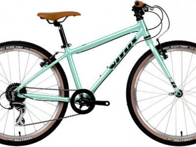 GIANT ARX 24 Leichtes gunstiges 24 Zoll Kinderfahrrad Kinderfahrradfinder